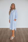 Raisa-Striped-Button-Down-Dress_bfa4c6be